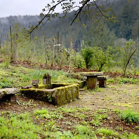 Haus Erika